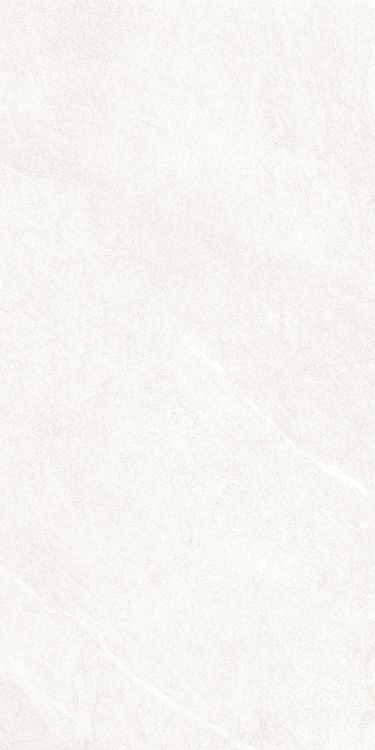 Dhara White Matte 24 x 48